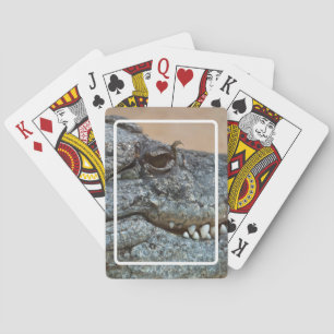 Krokodil Speelkaarten