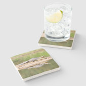 Krokodil Stenen Onderzetter (Zijkant)