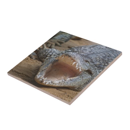 Krokodil Tegeltje (Zijkant)