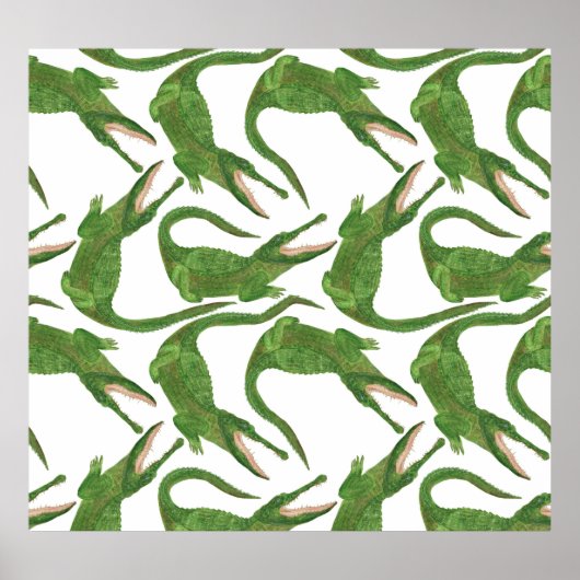 Krokodil Witte Waterverf Array Poster (Voorkant)