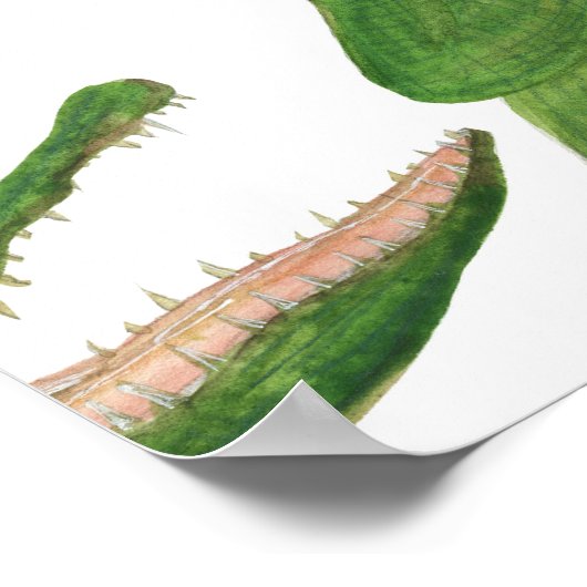 Krokodil Witte Waterverf Array Poster (Hoek)