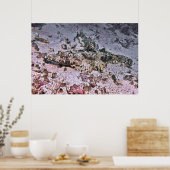 Krokodile Flathead Poster (Keuken)