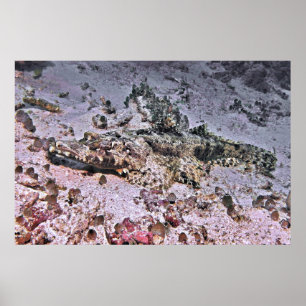 Krokodile Flathead Poster