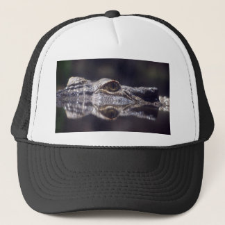 Krokodile komend trucker pet