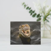 krokodille Briefkaart (Staand voorkant)