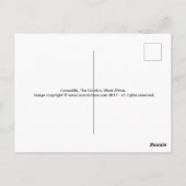 krokodille Briefkaart (Achterkant)