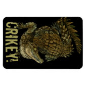 Krokodille Crikey! Magneet (Horizontaal)