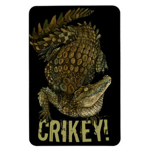 Krokodille Crikey! Magneet