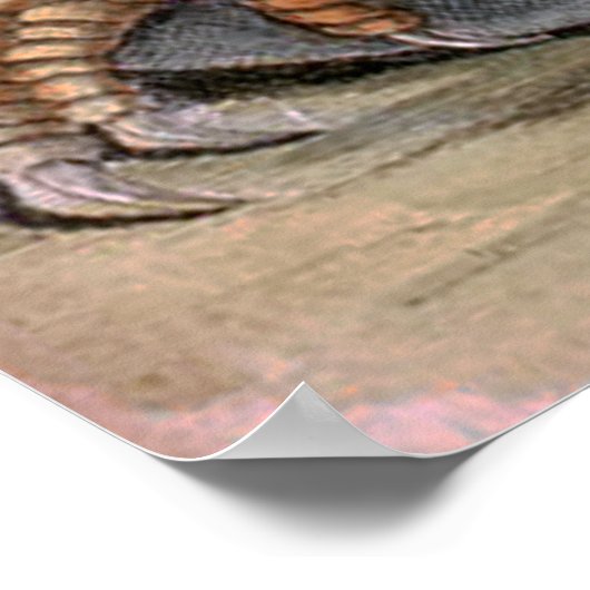 Krokodille Eatslang Poster (Hoek)