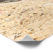 krokodille Poster (Hoek)