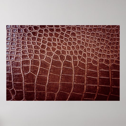 Krokodilleenpatternabstract, alligator, dier poster (Voorkant)