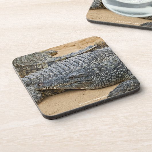 Krokodillen Drankjes Onderzetter (Linkerzijde)