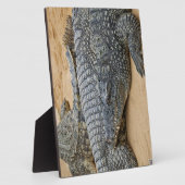 Krokodillen Fotoplaat (Zijkant)