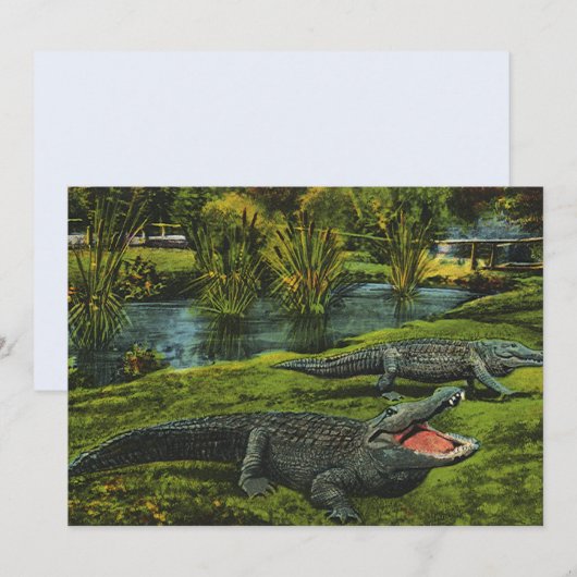  krokodillen, marinespiegels (Voorkant / Achterkant)