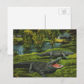  krokodillen, marinespiegels briefkaart (Voorkant / Achterkant)