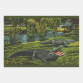 krokodillen, marinespiegels inpakpapier vel (Voorkant)