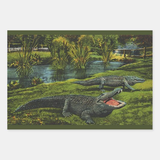  krokodillen, marinespiegels inpakpapier vel (Voorkant)