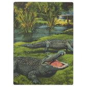 krokodillen, marinespiegels klembord (Achterkant)