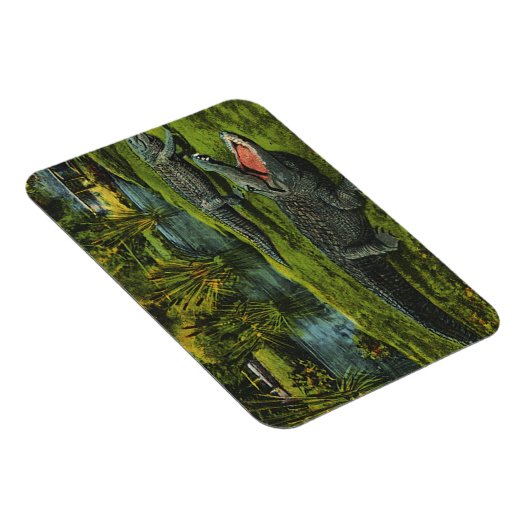 krokodillen, marinespiegels magneet (Rechterzijde)