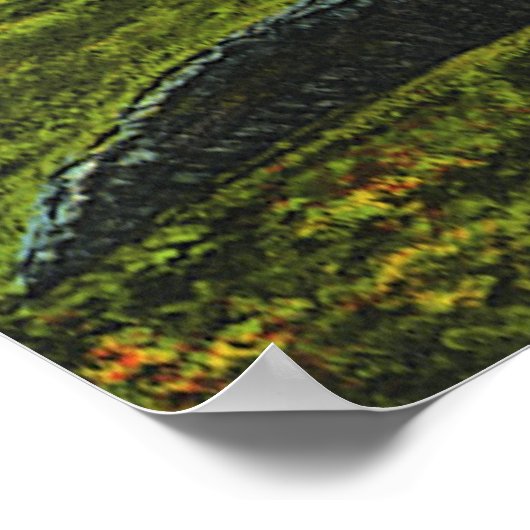 krokodillen, marinespiegels poster (Hoek)