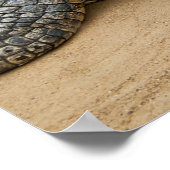 Krokodillen Poster (Hoek)