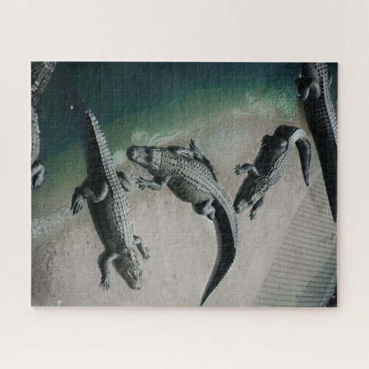 Krokodillen rusten op een Riverbank Wildlife Legpuzzel (Horizontaal)