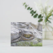 Krokodillengoog Briefkaart (Staand voorkant)