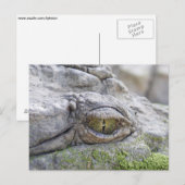 Krokodillengoog Briefkaart (Voorkant / Achterkant)