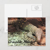 krokodillenmonitor briefkaart (Voorkant / Achterkant)