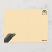 Krokodillenmonitor hagedis Briefkaart (Achterkant)