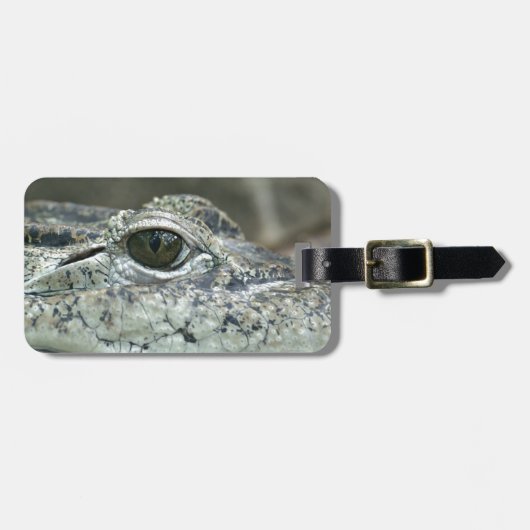 Krokodillenoog Bagagelabel (Voorkant horizontaal)