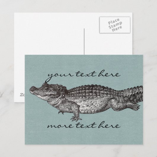  krokodillenpostkaart briefkaart (Voorkant / Achterkant)