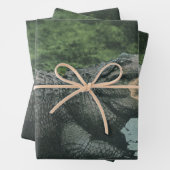  krokodilreptielen, zeedierlijk leven inpakpapier vel (In situ)