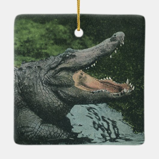  krokodilreptielen, zeedierlijk leven keramisch ornament (Achterkant)