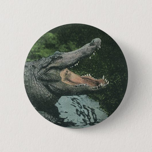krokodilreptielen, zeedierlijk leven ronde button 5,7 cm (Voorkant)