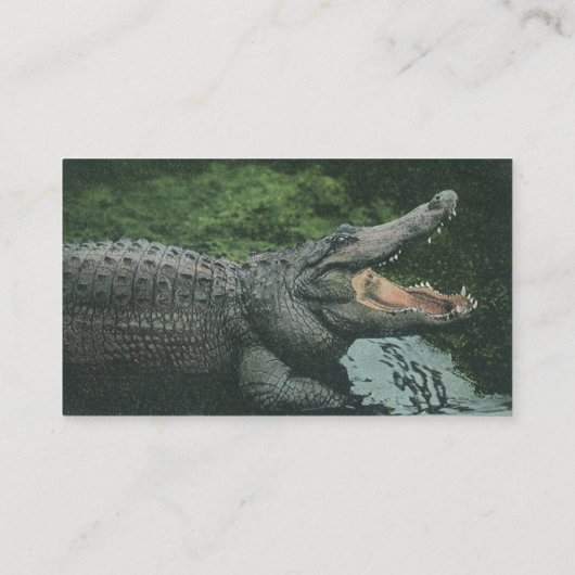  krokodilreptielen, zeedierlijk leven visitekaartje (Achterkant)