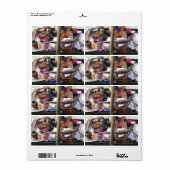 Krokodilvlees BBQ ... Thailand Street Food Etiket (Full Sheet)