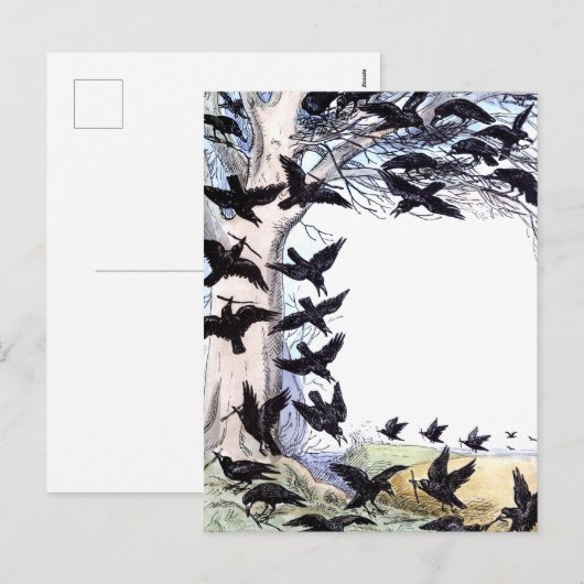 Krokoen Feestdagenkaart (Voorkant / Achterkant)