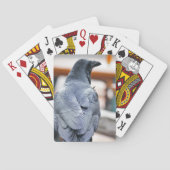 Krokoen Pokerkaarten (Achterkant)