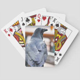 Krokoen Pokerkaarten