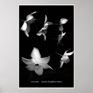 Krokoenen Poster