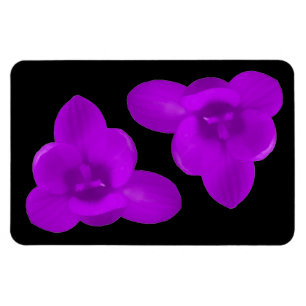 Krokus Bloem Paars Premium Magneet