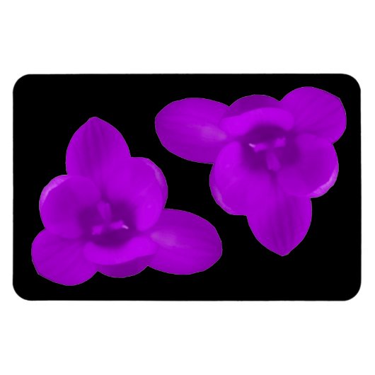 Krokus Bloem Paars Premium Magneet (Horizontaal)