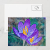 Krokus Briefkaart (Voorkant / Achterkant)