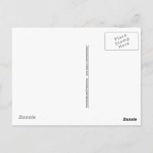 Krokus Briefkaart (Achterkant)