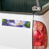 Krokus Bumpersticker (Op Truck)