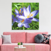 Krokus Canvas Afdruk (Insitu (Woonkamer))