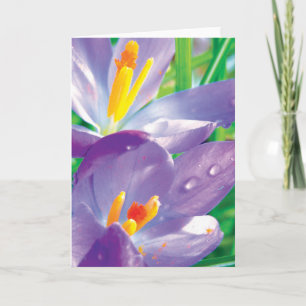 Krokus met dauw kleurrijke bloempoëzie kaart