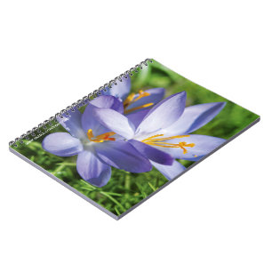 Krokus Notitieboek