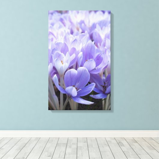Krokus verpakt canvas print (Insitu (Houten vloer))